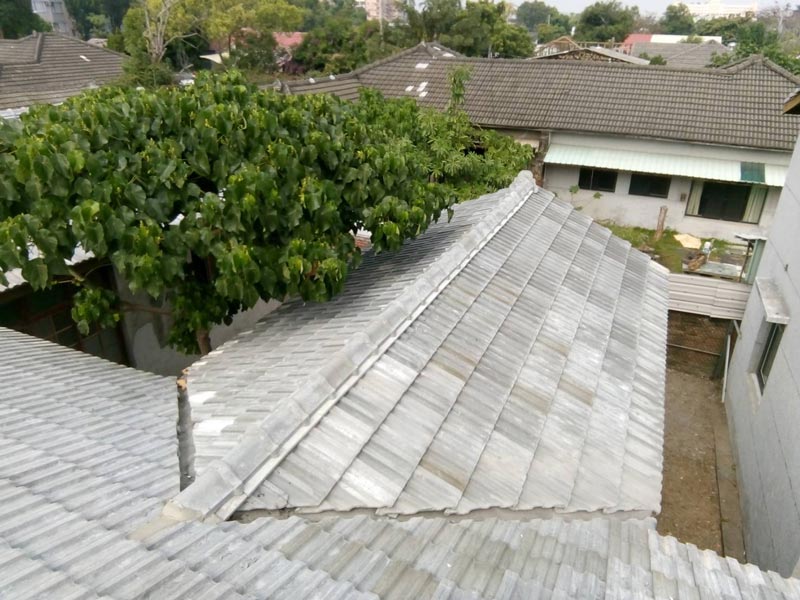 水泥瓦 - 屋頂系統維護