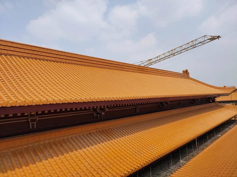 黃色飛鳥瓦特寫